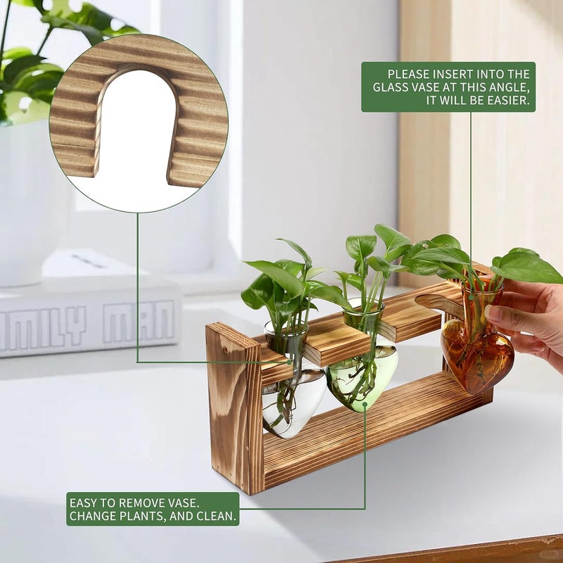 MTsigns Plant Terrarium Propagation Stations Hydroponics Home Garden Decoration Gift for Women with Wooden Stand Heart Shaped Colored Glass Vase - Image 2